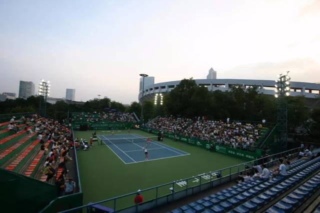 让它在搜索 让它在搜索